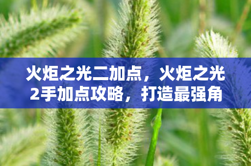 火炬之光二加点，火炬之光2手加点攻略，打造最强角色