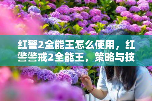 红警2全能王怎么使用，红警警戒2全能王，策略与技巧的极致展现