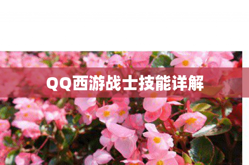 QQ西游战士技能详解
