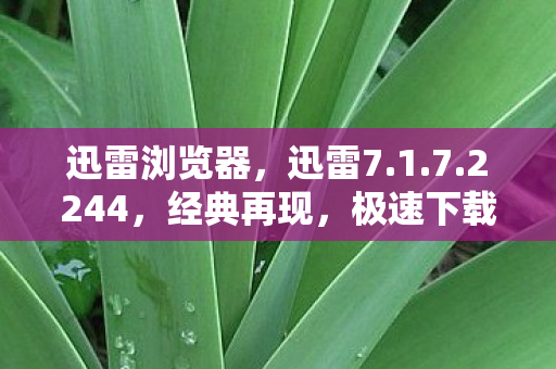 迅雷浏览器，迅雷7.1.7.2244，经典再现，极速下载新体验