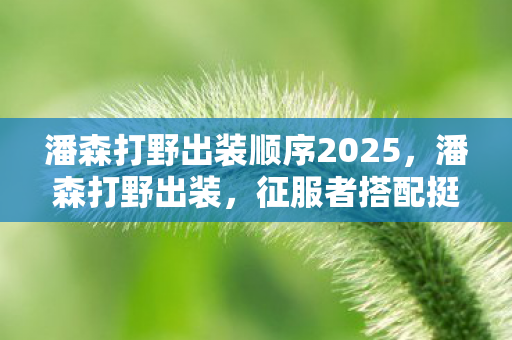 潘森打野出装顺序2025，潘森打野出装，征服者搭配挺进破坏者，野区霸主强势来袭