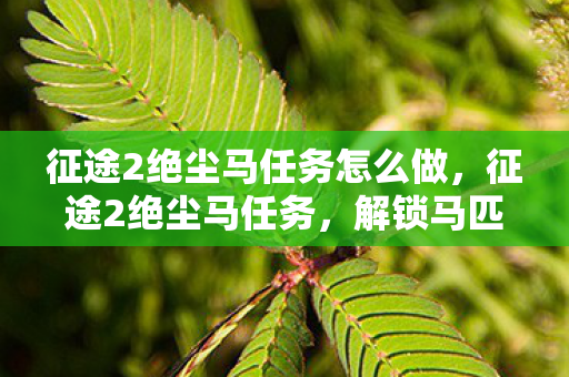 征途2绝尘马任务怎么做，征途2绝尘马任务，解锁马匹进阶的奥秘