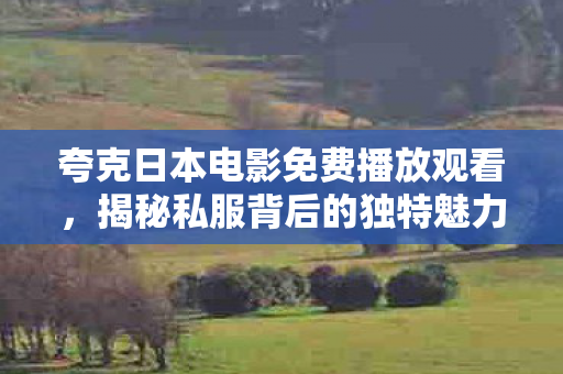 夸克日本电影免费播放观看，揭秘私服背后的独特魅力，探索未知的游戏世界