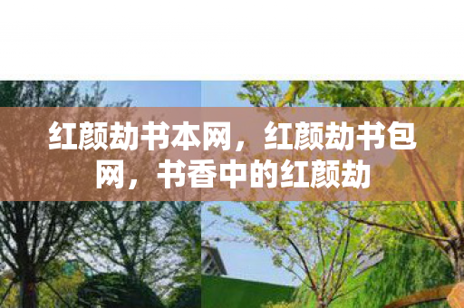 红颜劫书本网，红颜劫书包网，书香中的红颜劫