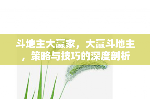 斗地主大赢家，大赢斗地主，策略与技巧的深度剖析