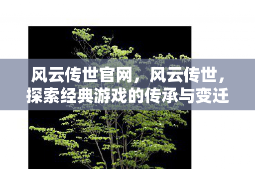 风云传世官网，风云传世，探索经典游戏的传承与变迁