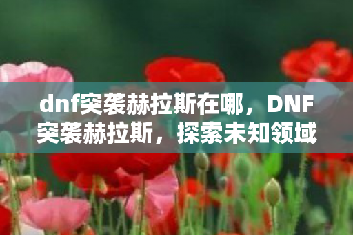 dnf突袭赫拉斯在哪，DNF突袭赫拉斯，探索未知领域的冒险之旅