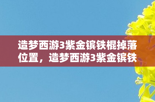 造梦西游3紫金镔铁棍掉落位置，造梦西游3紫金镔铁棍，探寻经典背后的传奇故事