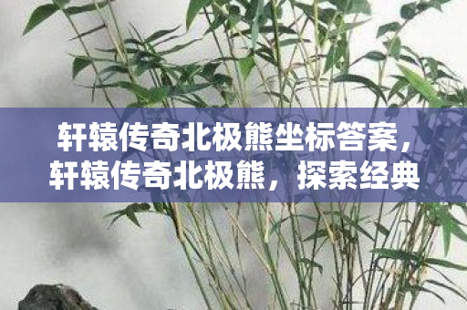 轩辕传奇北极熊坐标答案，轩辕传奇北极熊，探索经典游戏的魅力与传承