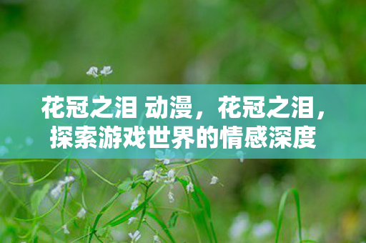 花冠之泪 动漫，花冠之泪，探索游戏世界的情感深度