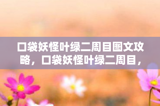 口袋妖怪叶绿二周目图文攻略，口袋妖怪叶绿二周目，挑战与探索的延续