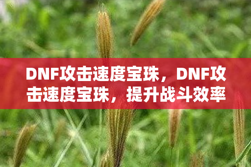 DNF攻击速度宝珠，DNF攻击速度宝珠，提升战斗效率的关键