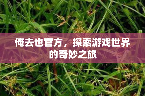 俺去也官方,探索游戏世界的奇妙之旅 俺去也官方,探索游戏世界的奇妙之旅