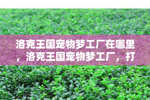 洛克王国宠物梦工厂在哪里，洛克王国宠物梦工厂，打造你的专属宠物王国