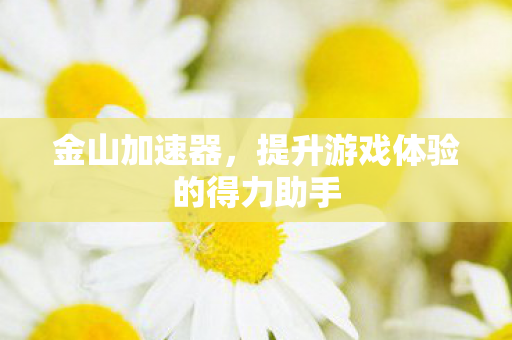 金山加速器，提升游戏体验的得力助手
