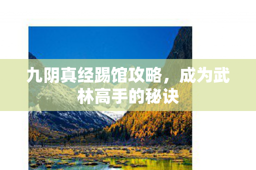九阴真经踢馆攻略，成为武林高手的秘诀