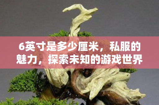 6英寸是多少厘米，私服的魅力，探索未知的游戏世界