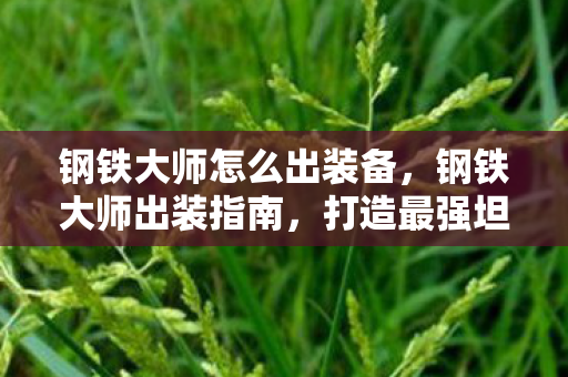 钢铁大师怎么出装备，钢铁大师出装指南，打造最强坦克的秘诀