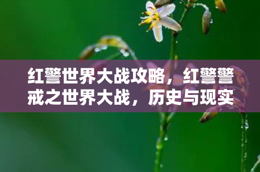 红警世界大战攻略，红警警戒之世界大战，历史与现实的交汇