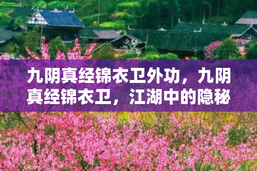 九阴真经锦衣卫外功,九阴真经锦衣卫,江湖中的隐秘力量 九阴真经锦衣卫外功,九阴真经锦衣卫,江湖中的隐秘力量