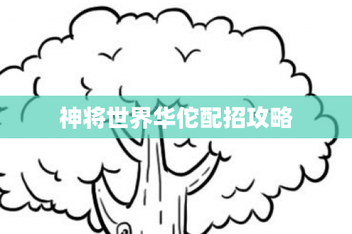 神将世界华佗配招攻略