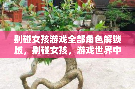 别碰女孩游戏全部角色解锁版，别碰女孩，游戏世界中的灰色阴影