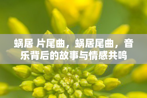 蜗居 片尾曲，蜗居尾曲，音乐背后的故事与情感共鸣