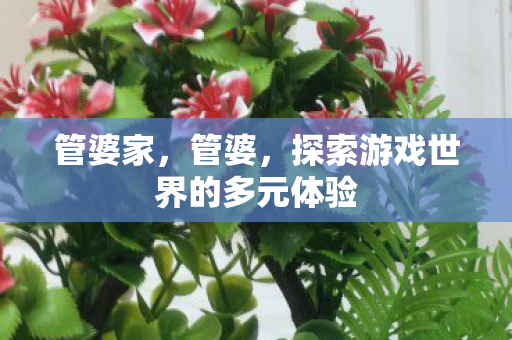 管婆家，管婆，探索游戏世界的多元体验