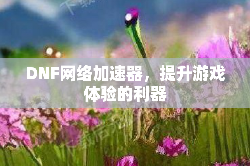 DNF网络加速器，提升游戏体验的利器