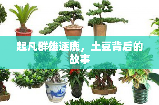 起凡群雄逐鹿，土豆背后的故事