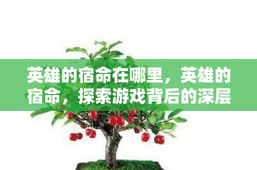 英雄的宿命在哪里，英雄的宿命，探索游戏背后的深层意义