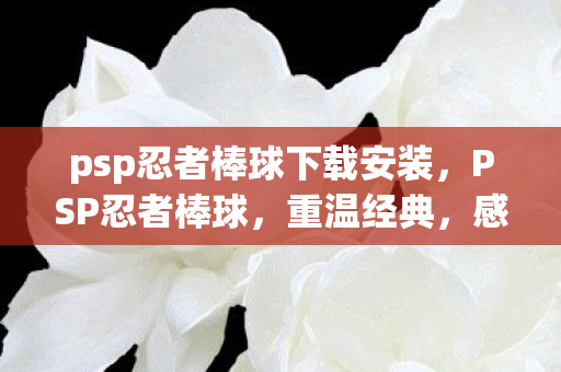 psp忍者棒球下载安装，PSP忍者棒球，重温经典，感受热血与激情