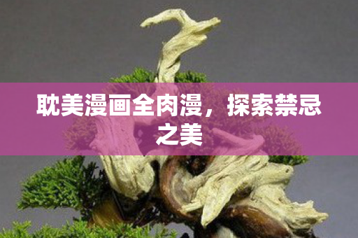 耽美漫画全肉漫，探索禁忌之美