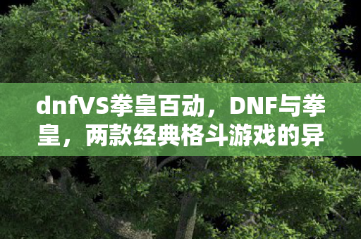 dnfVS拳皇百动，DNF与拳皇，两款经典格斗游戏的异同