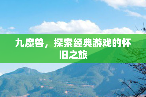 九魔兽，探索经典游戏的怀旧之旅