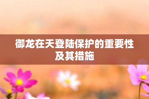 御龙在天登陆保护的重要性及其措施