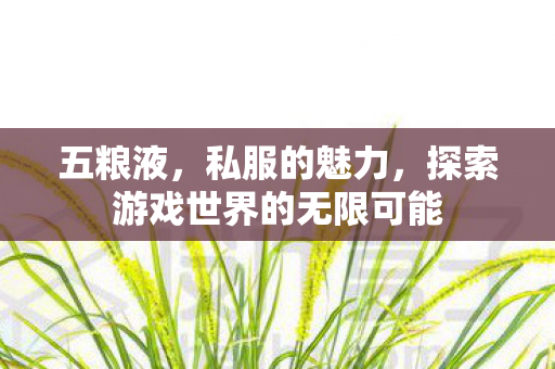 五粮液，私服的魅力，探索游戏世界的无限可能