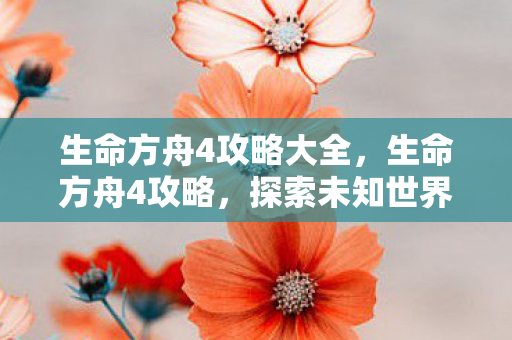 生命方舟4攻略大全，生命方舟4攻略，探索未知世界的全面指南