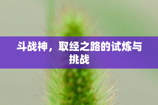 斗战神,取经之路的试炼与挑战 斗战神,取经之路的试炼与挑战
