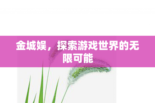 金城娱，探索游戏世界的无限可能