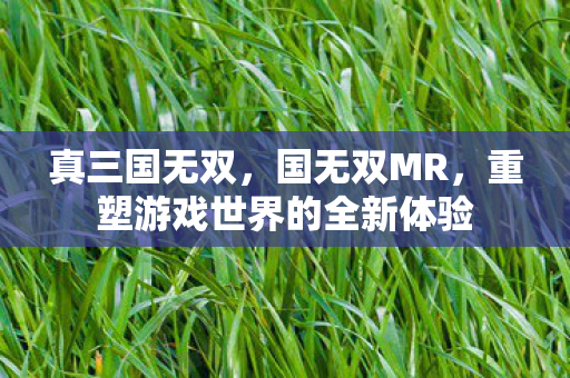 真三国无双，国无双MR，重塑游戏世界的全新体验