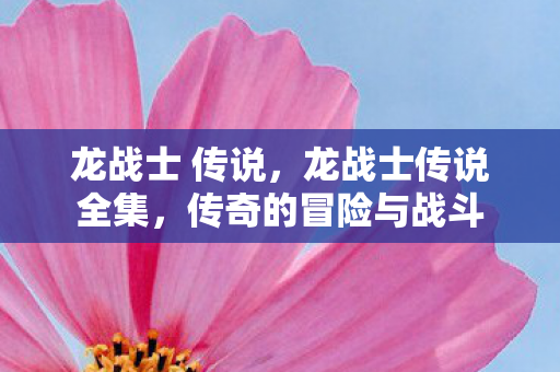 龙战士 传说，龙战士传说全集，传奇的冒险与战斗