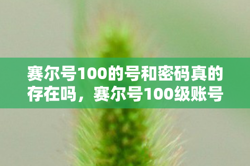 赛尔号100的号和密码真的存在吗，赛尔号100级账号与密码分享，畅游星际，探索无限可能