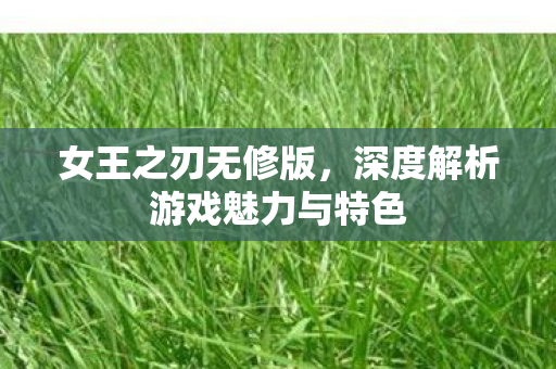 女王之刃无修版，深度解析游戏魅力与特色