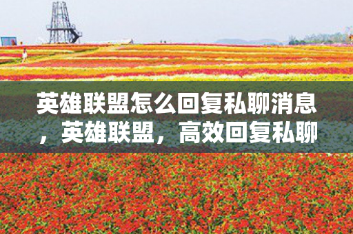 英雄联盟怎么回复私聊消息，英雄联盟，高效回复私聊的实用技巧