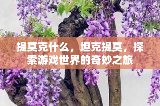 提莫克什么，坦克提莫，探索游戏世界的奇妙之旅