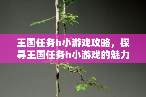 王国任务h小游戏攻略，探寻王国任务h小游戏的魅力
