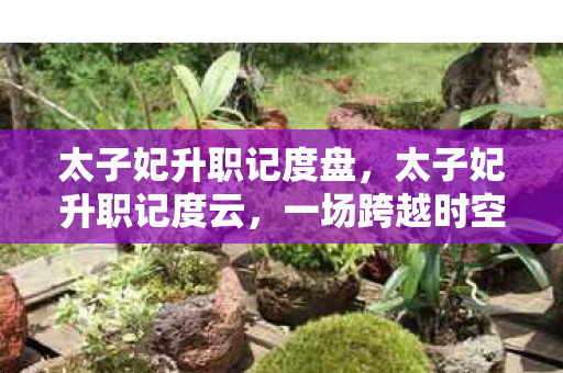 太子妃升职记度盘，太子妃升职记度云，一场跨越时空的宫廷风云