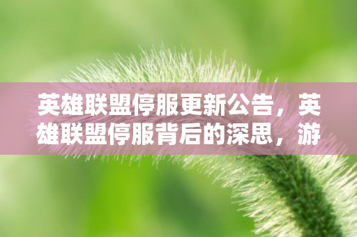 英雄联盟停服更新公告，英雄联盟停服背后的深思，游戏运营与玩家权益的平衡