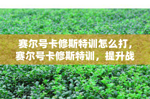 赛尔号卡修斯特训怎么打,赛尔号卡修斯特训,提升战斗力的关键步骤 赛尔号卡修斯特训怎么打,赛尔号卡修斯特训,提升战斗力的关键步骤